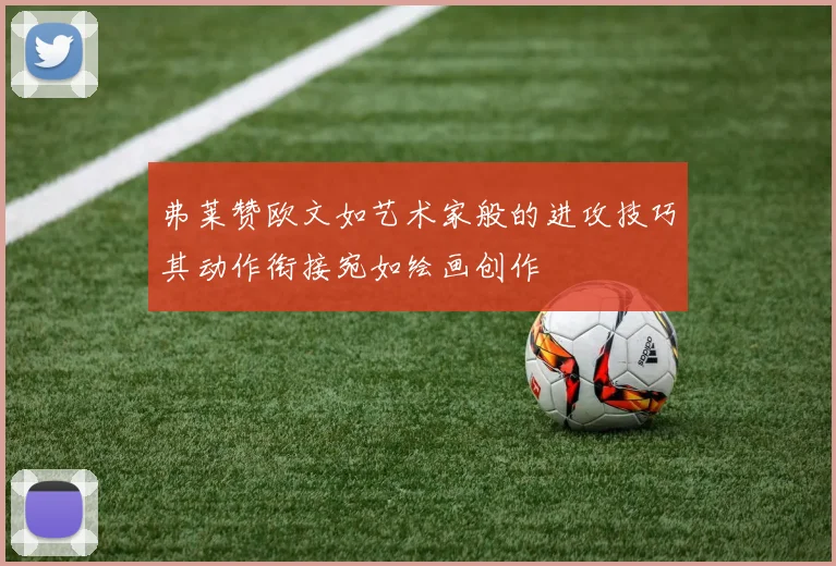 弗莱赞欧文如艺术家般的进攻技巧其动作衔接宛如绘画创作